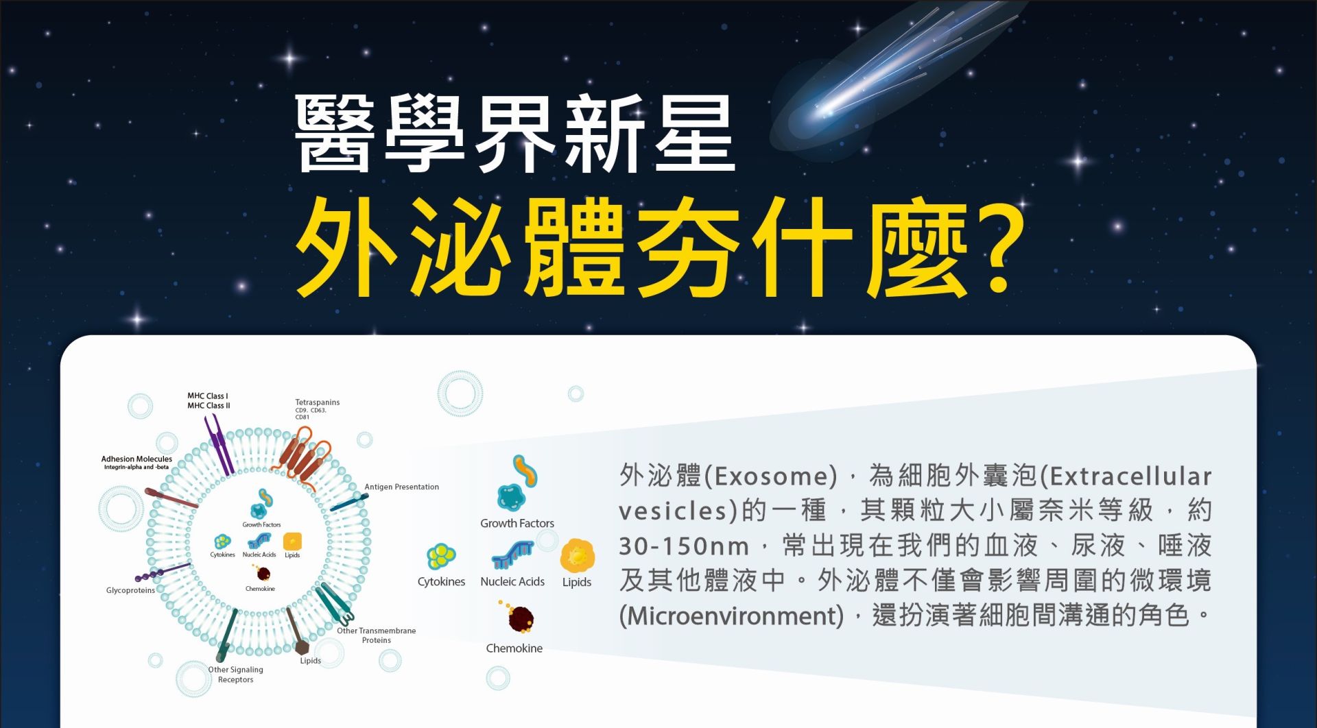 外泌體是什麼